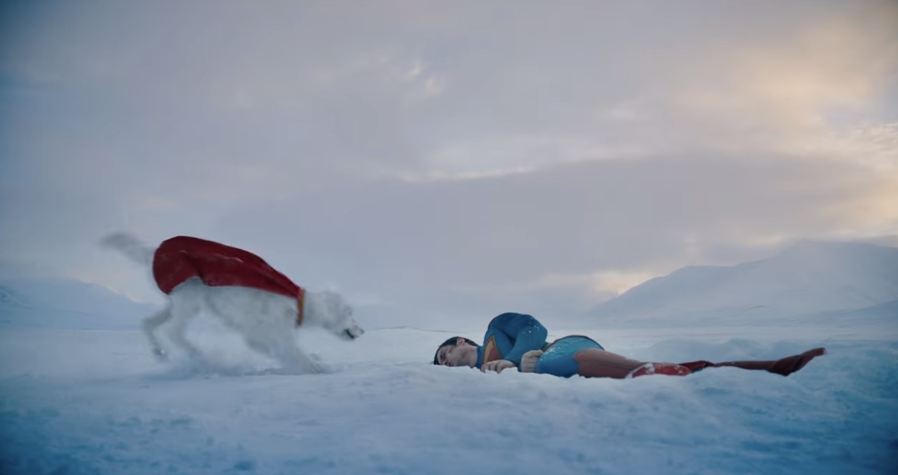 wide shot of dog in snow and Superman laying down