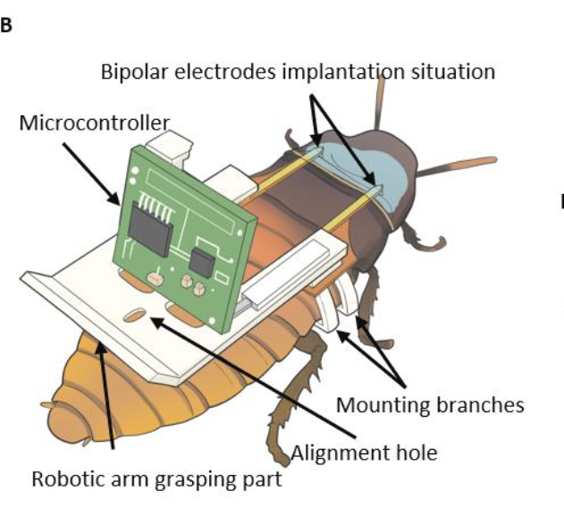 figure of a roach with all its computer parts attached.