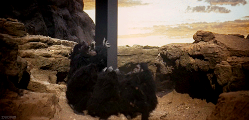 GIF of apes touching a black monolith in a rocky desert. From the movie Space Odyssey 2001. 