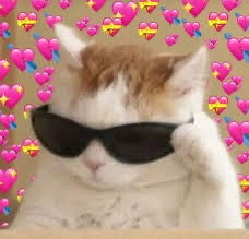 White and orange cat wearing dark sunglasses with pink heard all around it. 