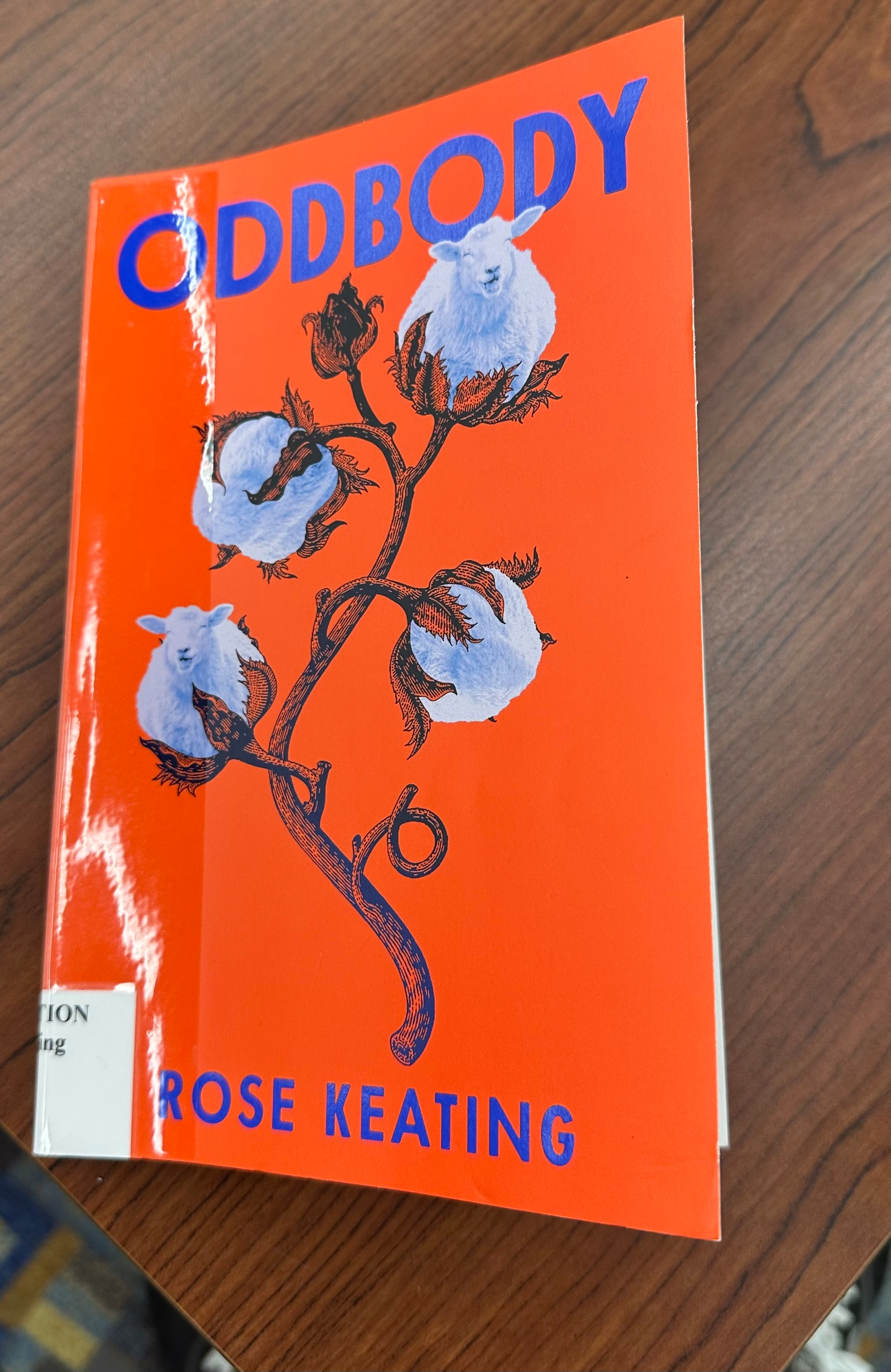 Picture of book cover. It's bright orange with vibrant blue, sans-serif typeface. There's a cotton vine with 4 cotton thingys. One of the has a sheep in it. &10;&10;It reads &10;&10;"Oddbody"&10;"Rose Keating"